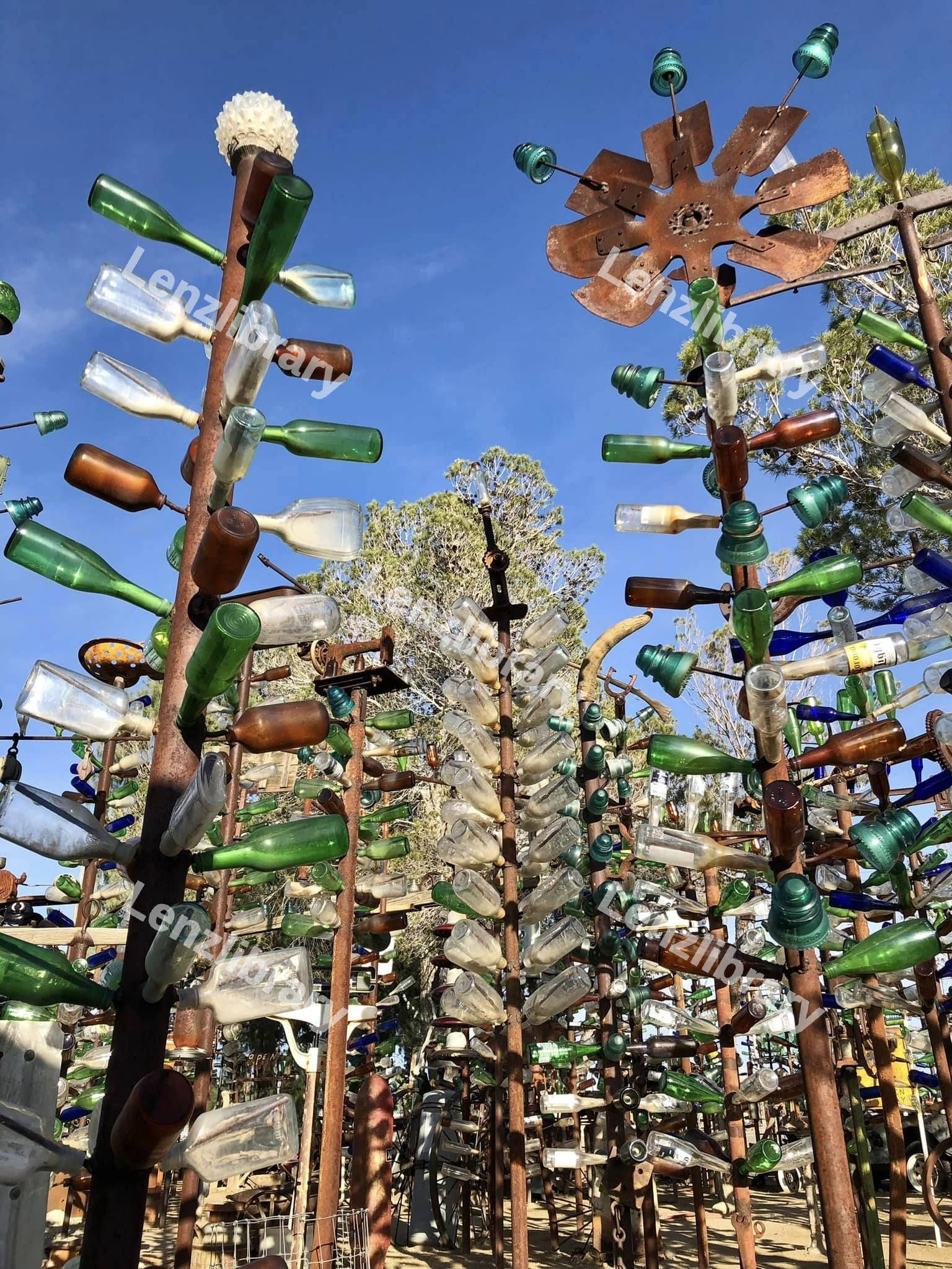 Elmer's Bottle Tree Forest